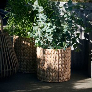 cesto coprivaso di forma cilindrica in giacinto d'acqua dal design nordico e contemporaneo di diametro 26 cm