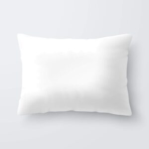 imbottitura cuscino in poliestere riciclato con federa in cotone bianco di misura 60x40