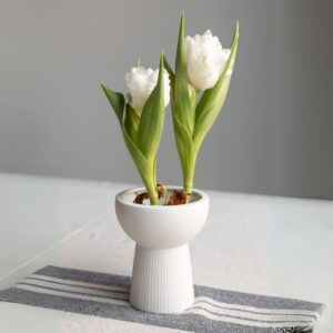 piccolo vaso porta bulbi in caramica bianca opaca di design nordico